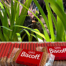 Lotus Biscoff Biscuits (Koffieleutjes)-2