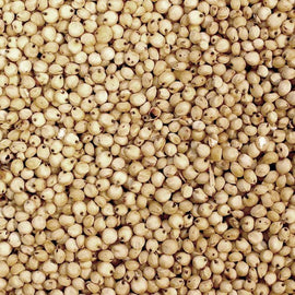 White Sorghum (1kg) - The Deli