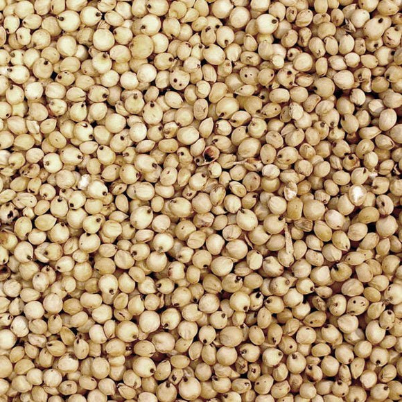 White Sorghum (1kg) - The Deli