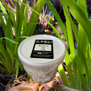 Bucket of Joy Christmas Royal Icing Cookies (12) Gift set-2