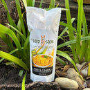 Food Sock - Macaroni & Cheese (serves 4) - The Deli