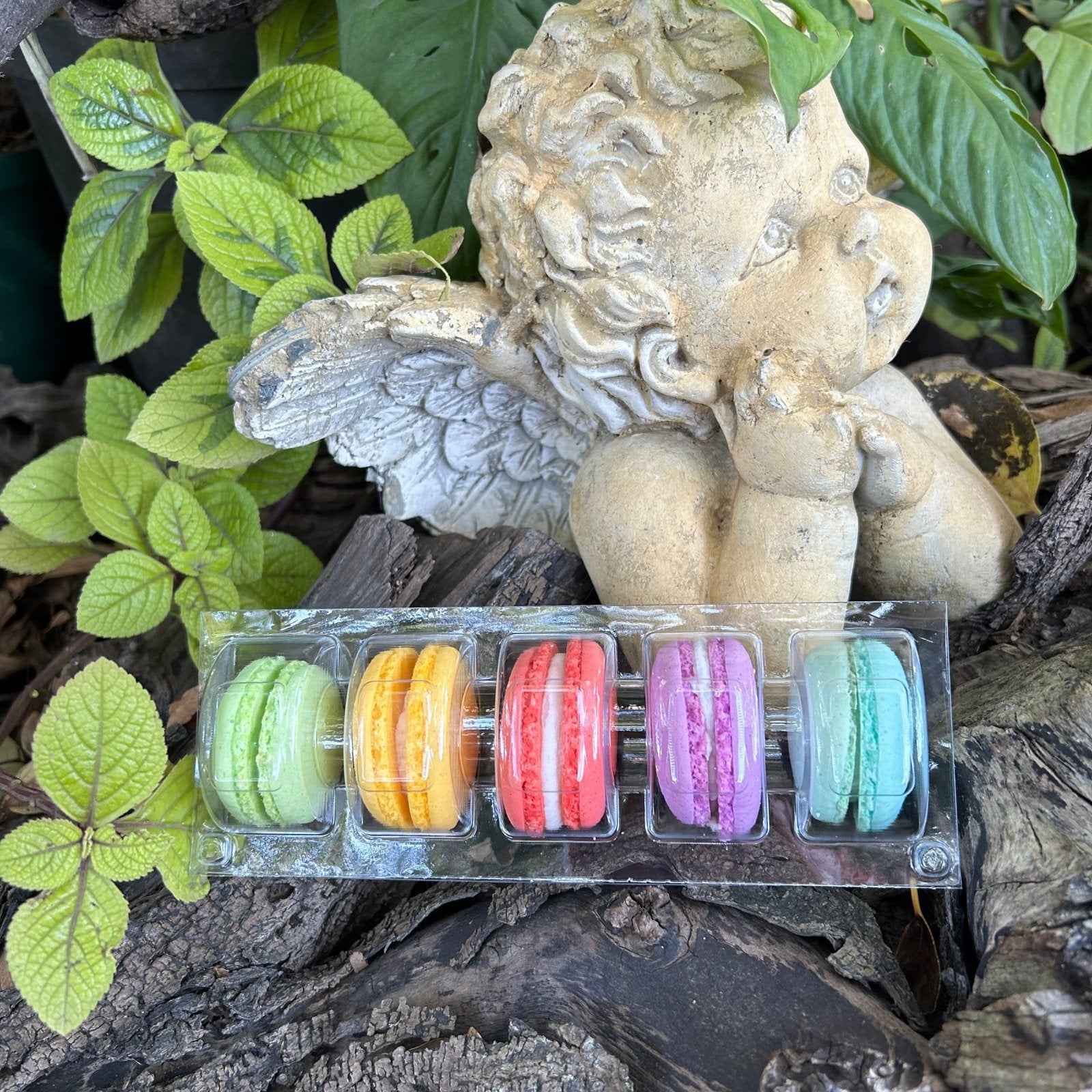 Macaroons (5-pack) - The Deli