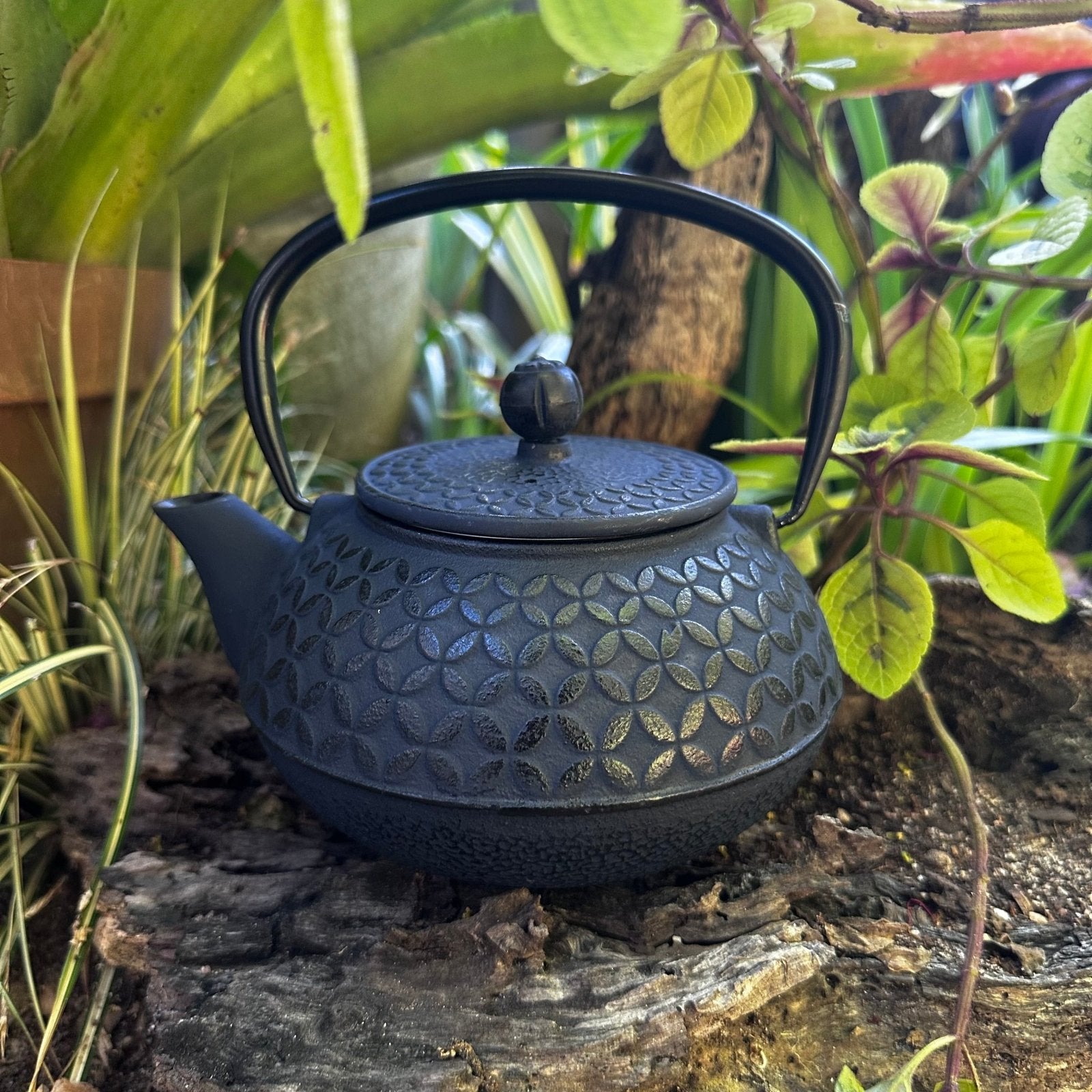 Navy Cast Iron Tea Pot (800ml) - The Deli