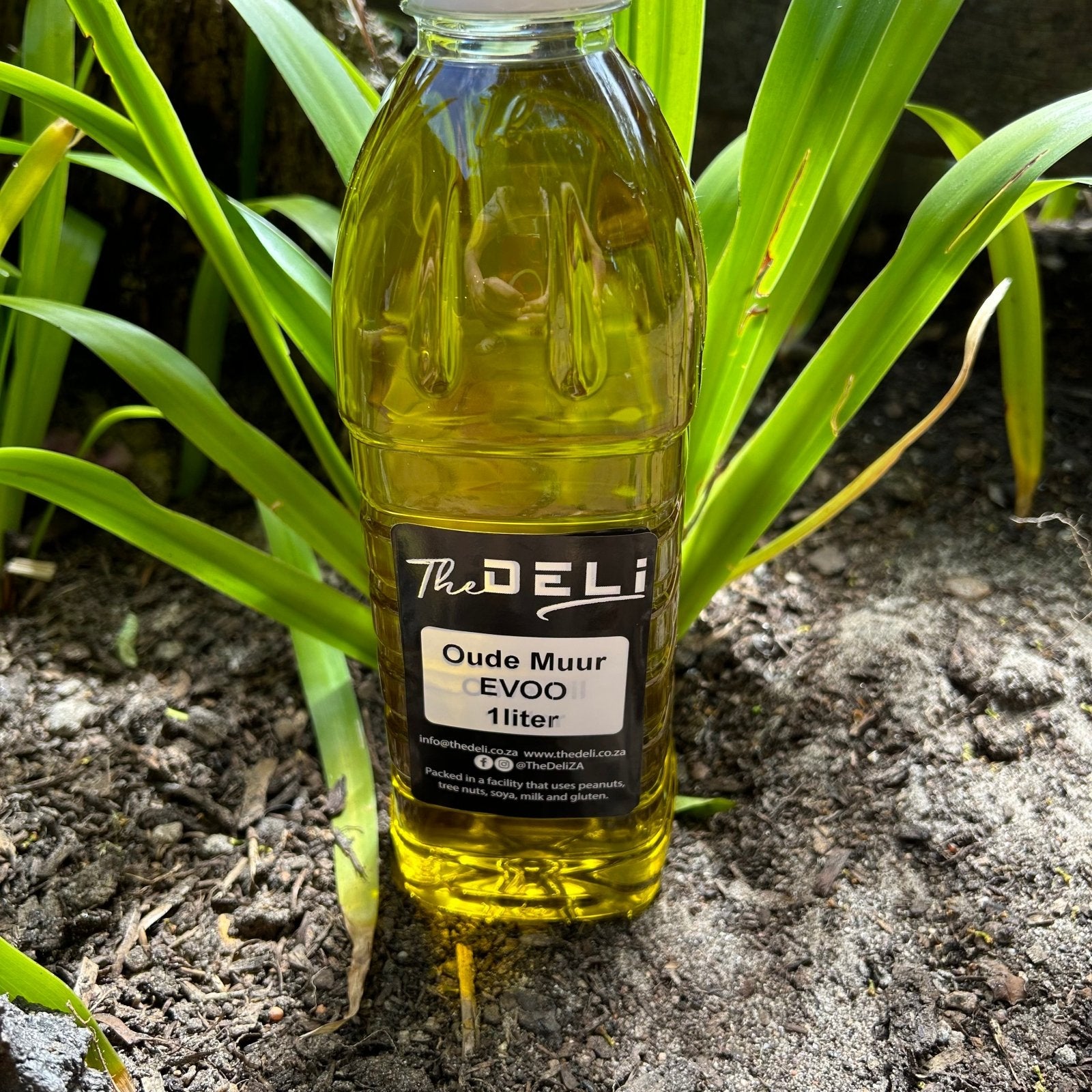 Oude Muur Extra Virgin Olive Oil (1L) - The Deli