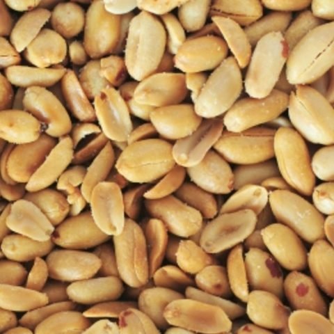 Peanuts Blanched Roasted Bulk (10kg) - The Deli