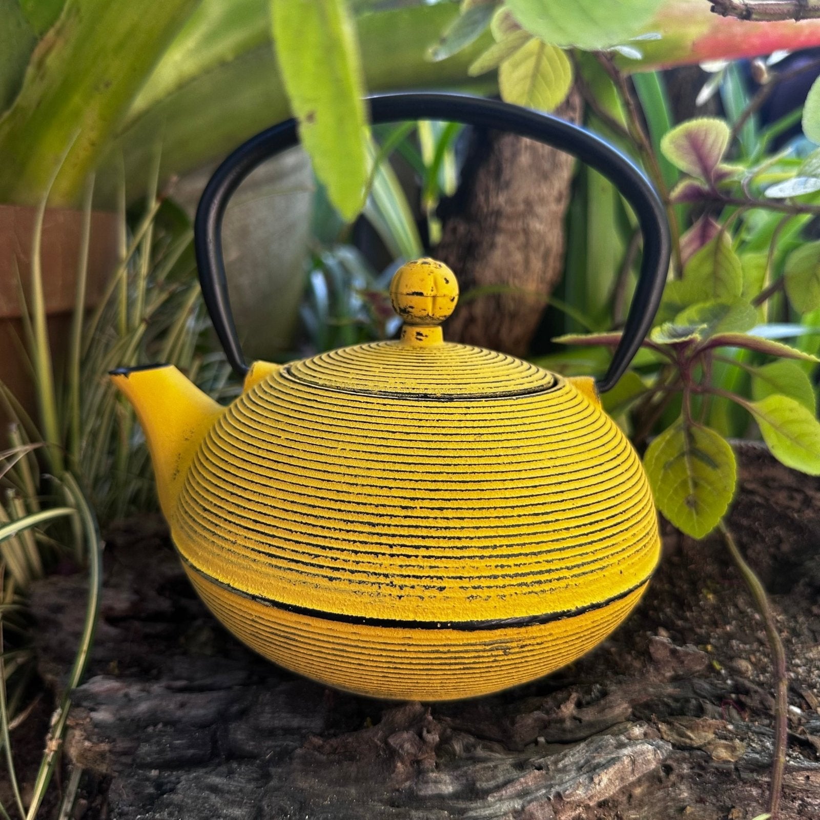 Yellow Cast Iron Tea Pot (800ml) - The Deli