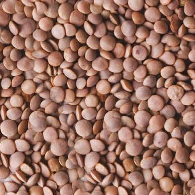 Black Lentils (1kg) - The Deli