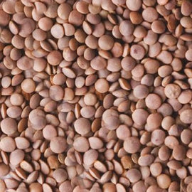 Black Lentils (1kg) - The Deli