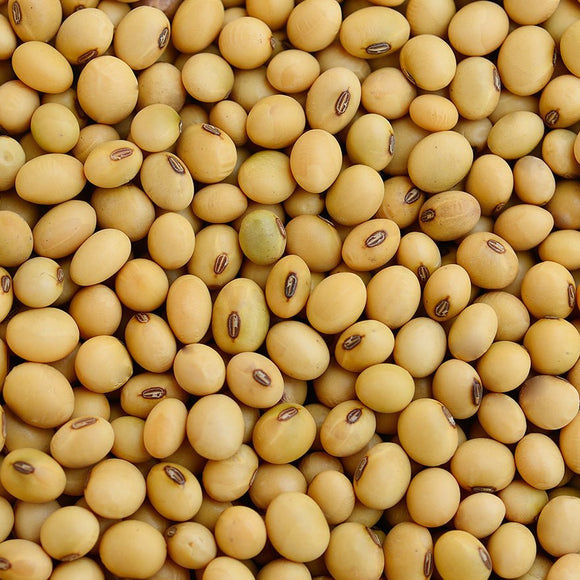 Soya Beans (1kg) - The Deli