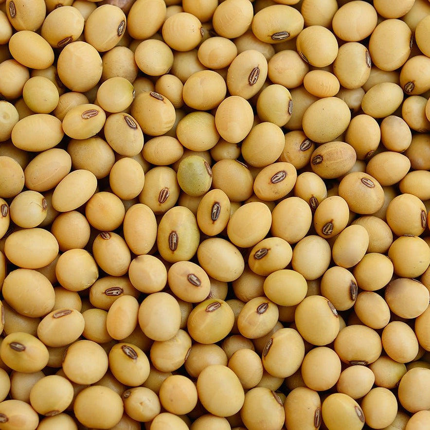 Soya Beans (1kg) - The Deli