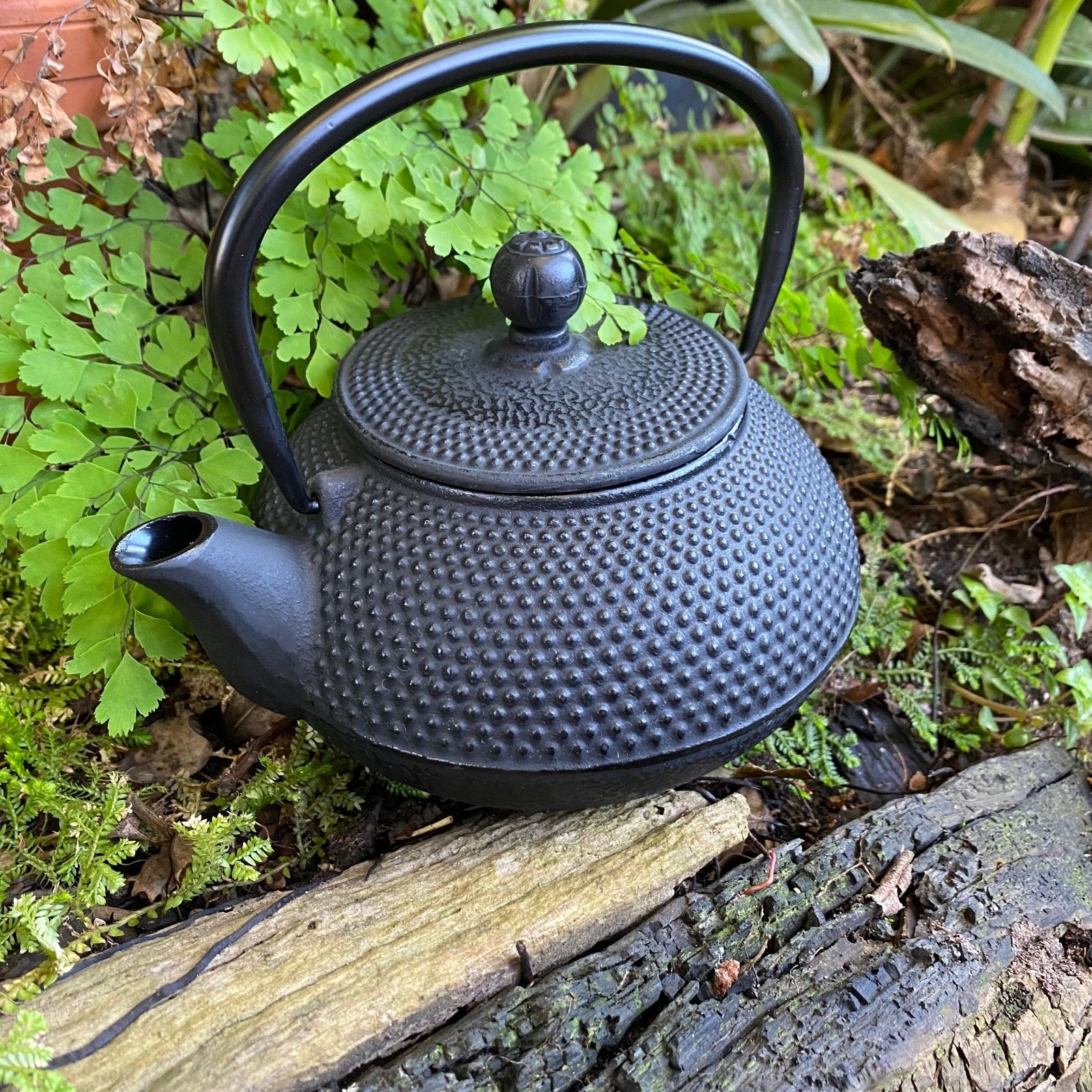 Black Cast Iron Tea Pot (800ml) - The Deli