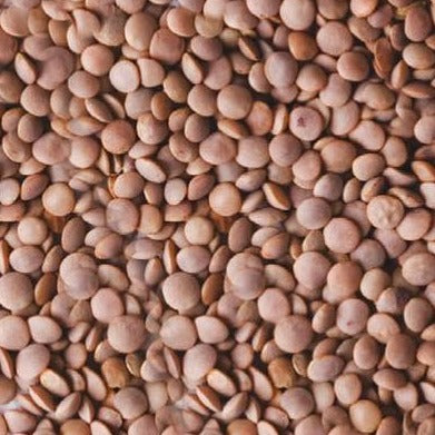 Brown Lentils (1kg) - The Deli