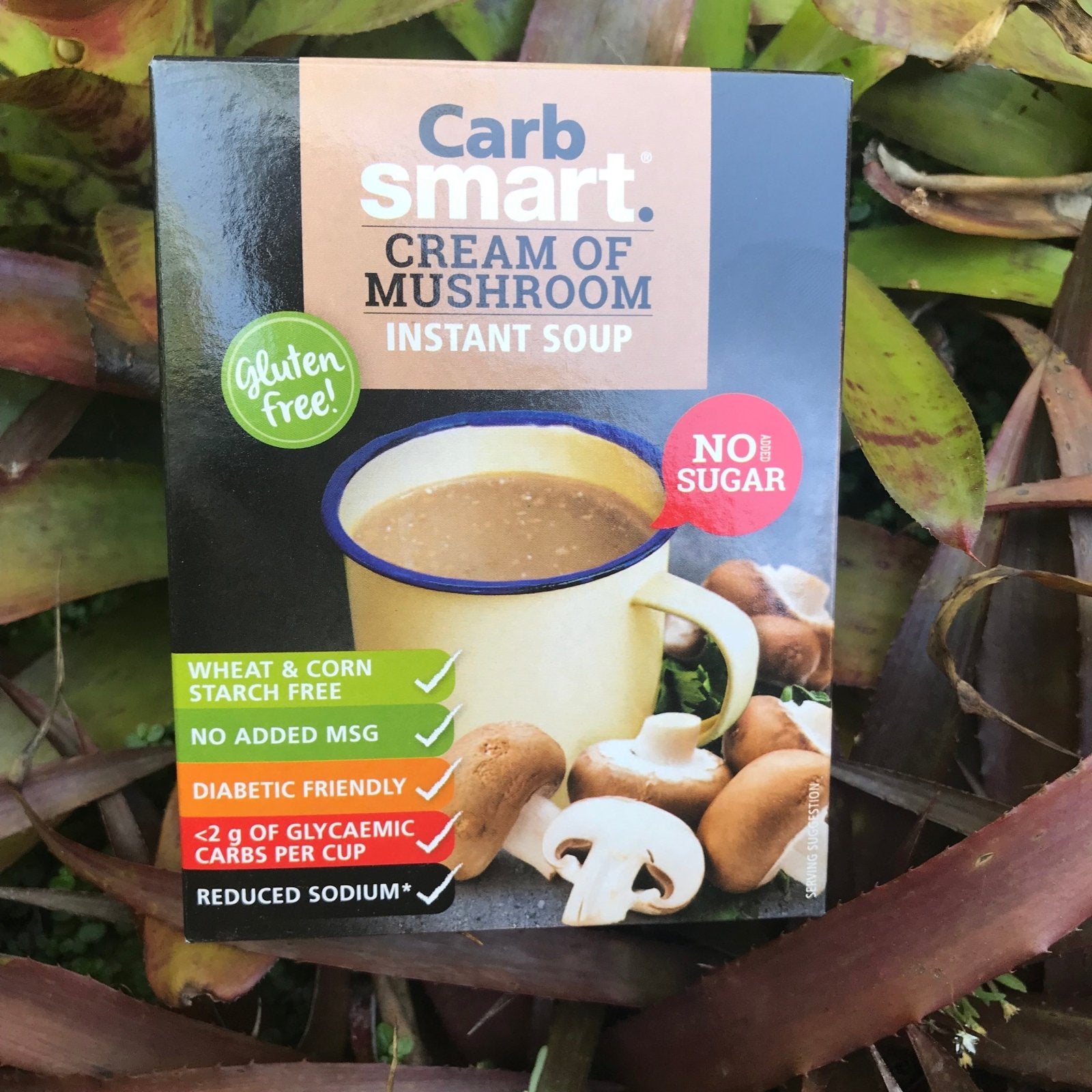 Carb Smart Cream of Mushroom Instant Soup (4x17g) - The Deli