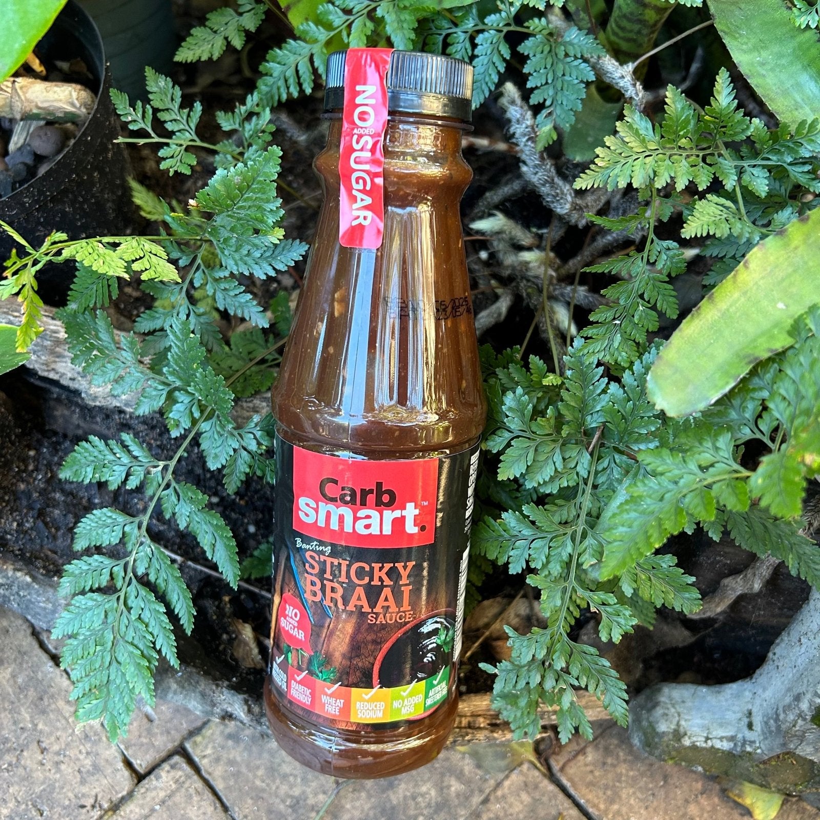 Carb Smart Sticky Braai Sauce (500g) - The Deli