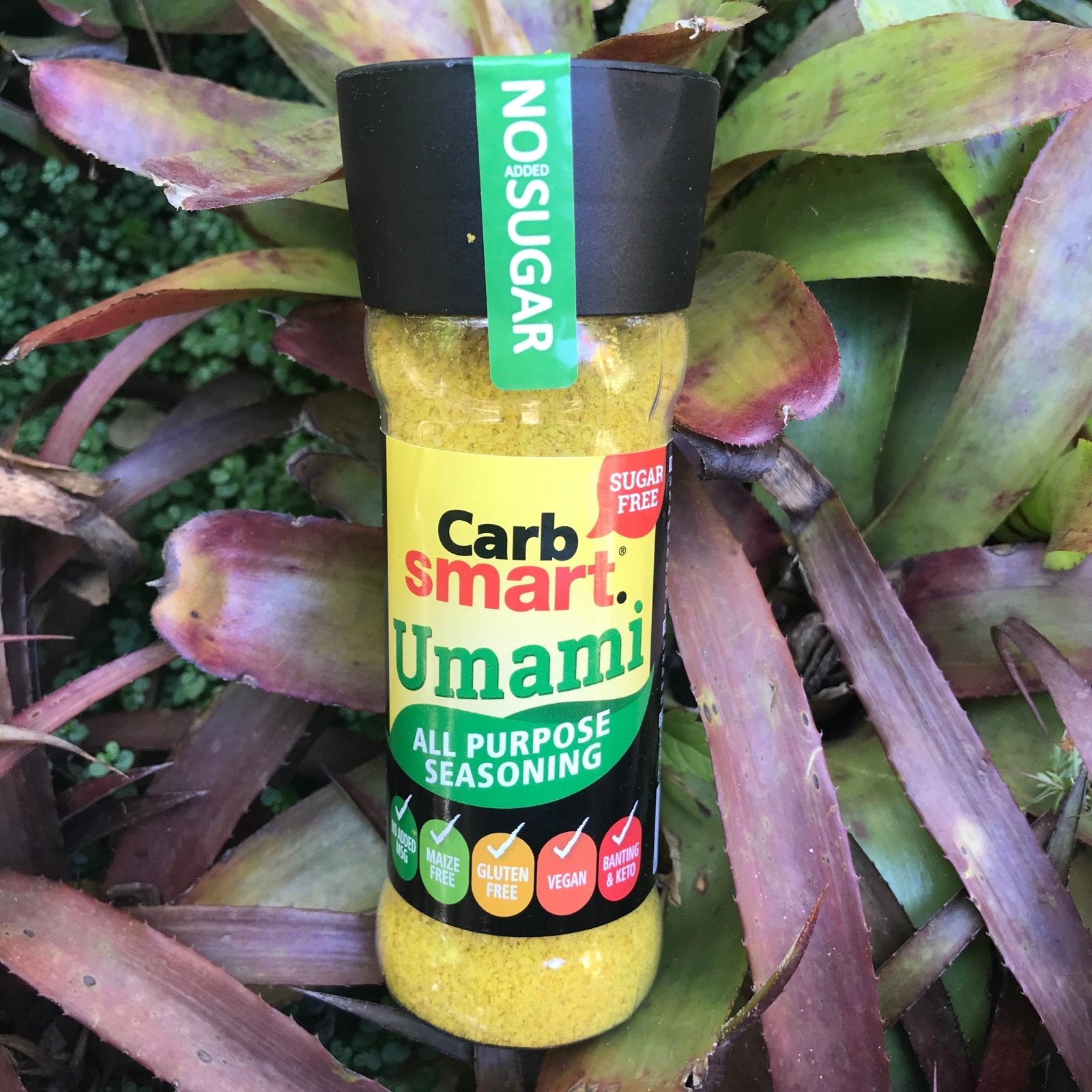 Carb Smart Umami All Purpose Seasoning (200ml) - The Deli