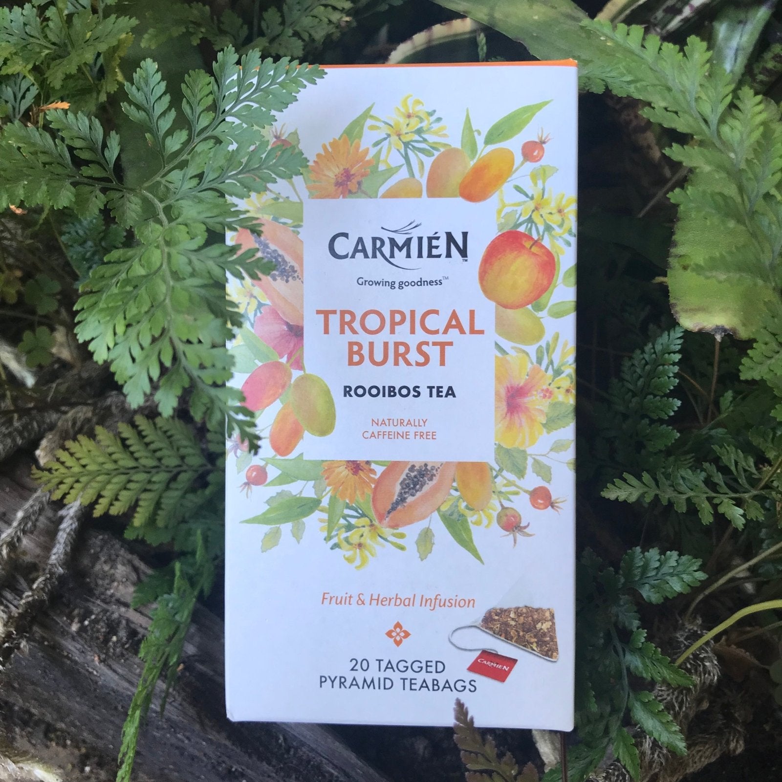 Carmien Tropical Burst Rooibos Tea (20 tagged pyramid teabags) - The Deli