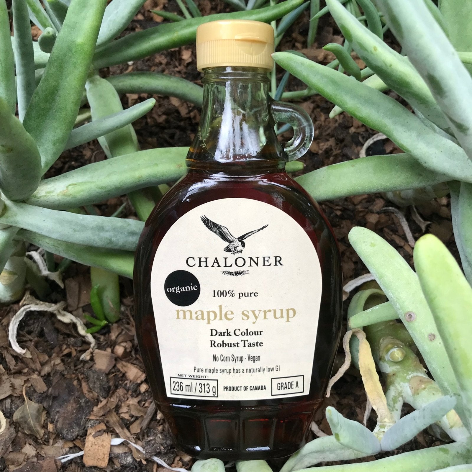 Chaloner Organic Maple Syrup (236ml) - The Deli