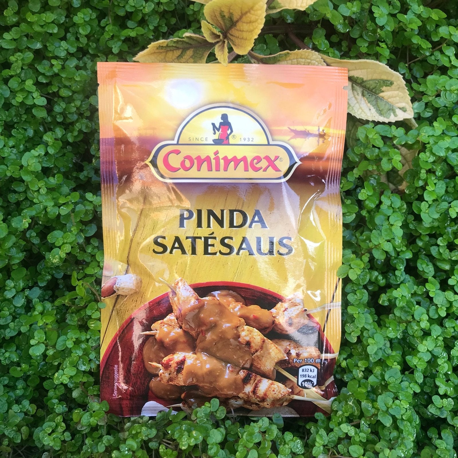 Conimex Peanut Sauce Mix (Pinda Satésaus) (68g) - The Deli