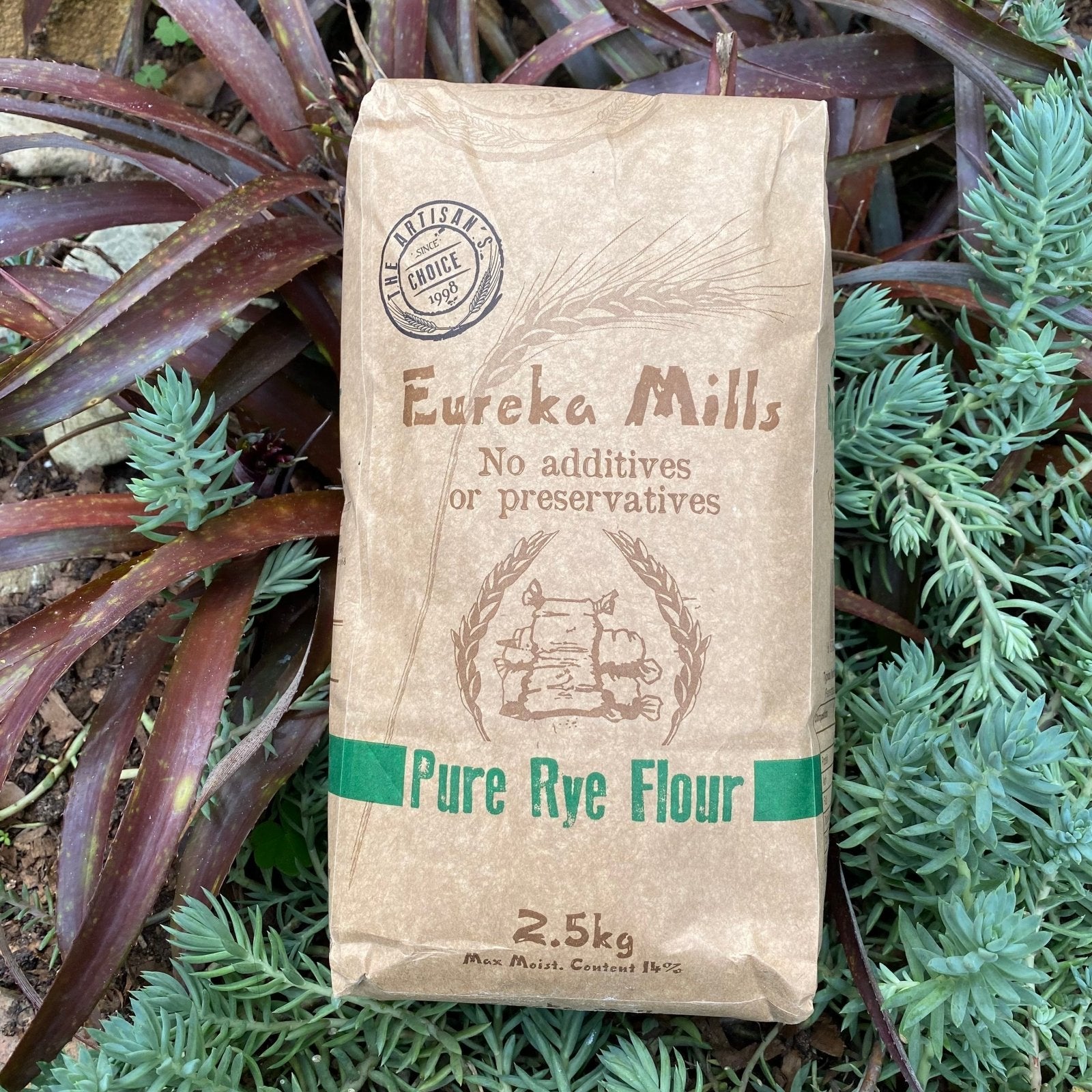 Eureka Mills Stone Ground Pure Rye Flour (2.5kg) - The Deli