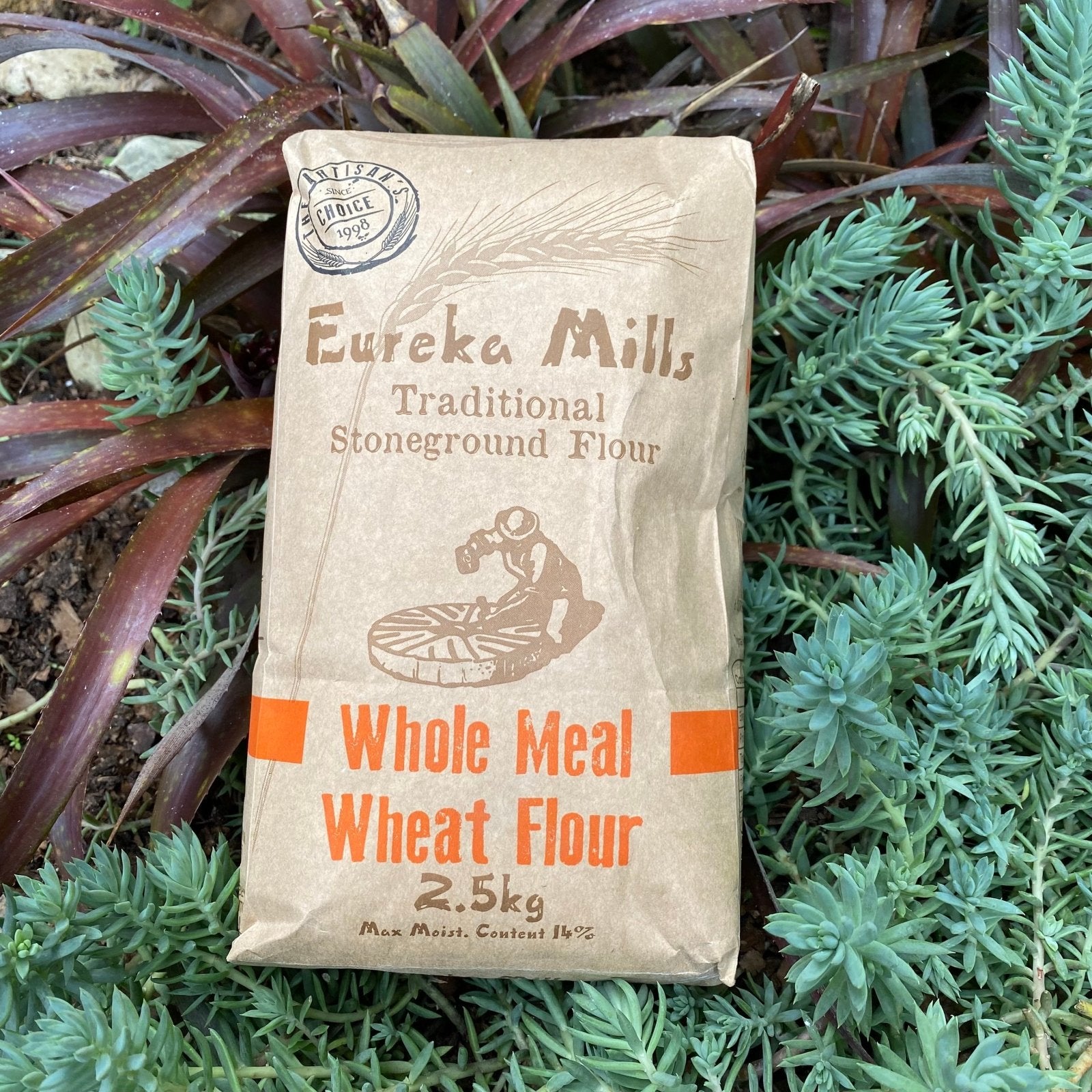 Eureka Mills Stone Ground Whole Meal Flour (2.5kg) - The Deli