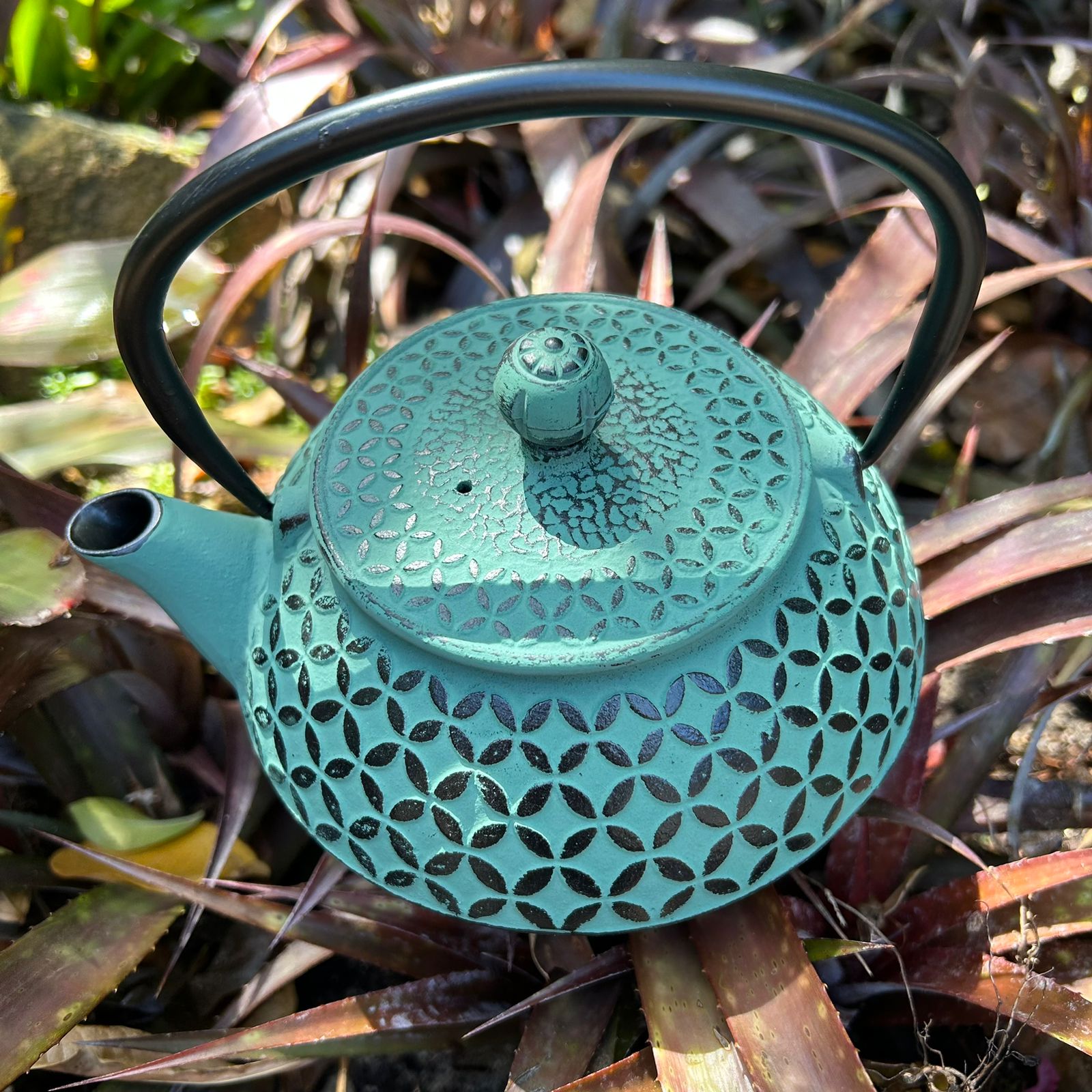 Green Cast Iron Tea Pot (800ml) - The Deli