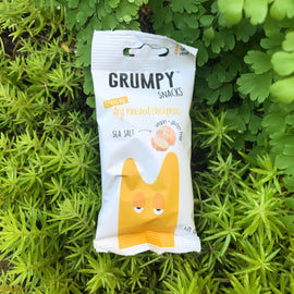 Grumpy Snacks - Dry Roasted Chickpeas - Sea Salt (40g) - The Deli