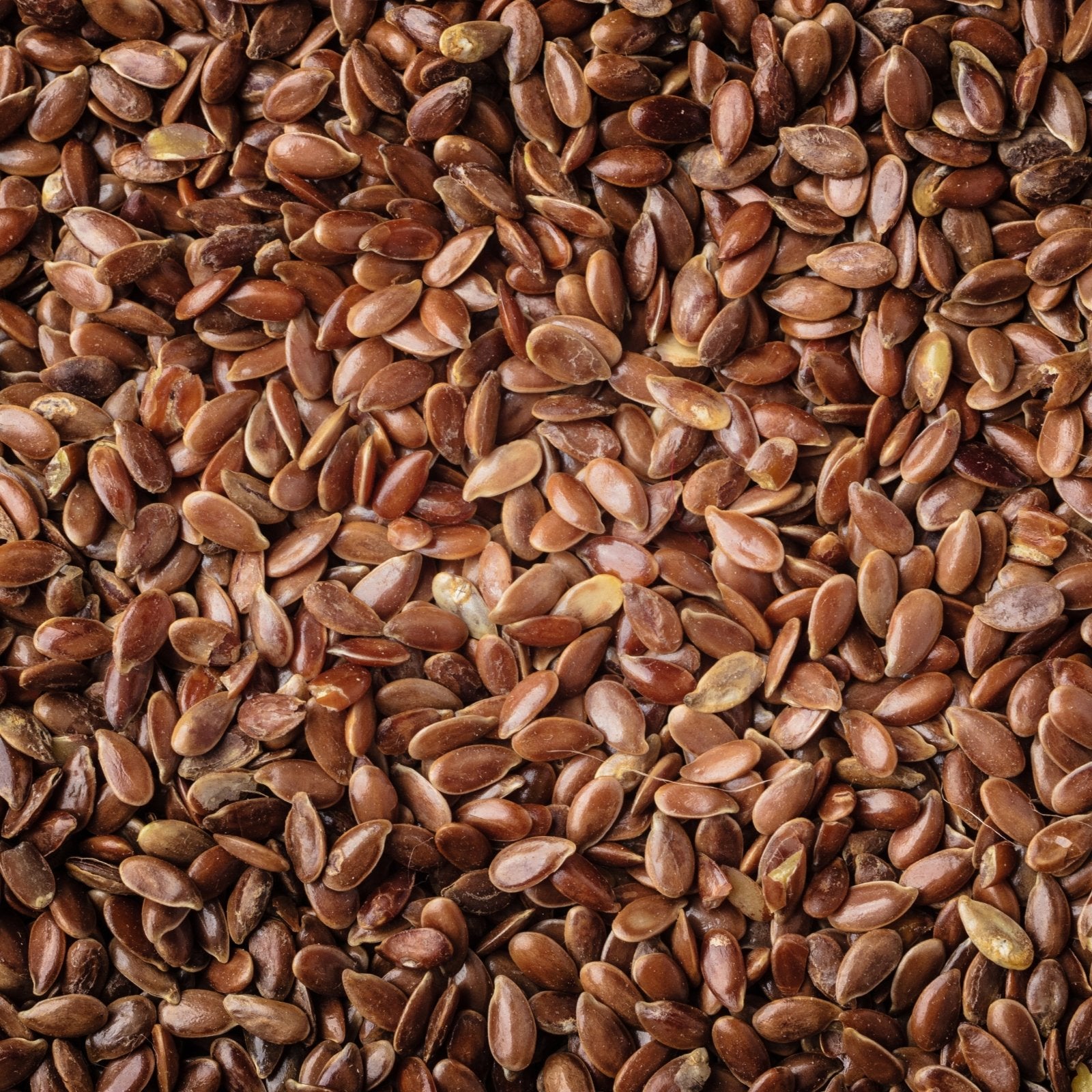 Linseed / Flaxseed (1kg) - The Deli
