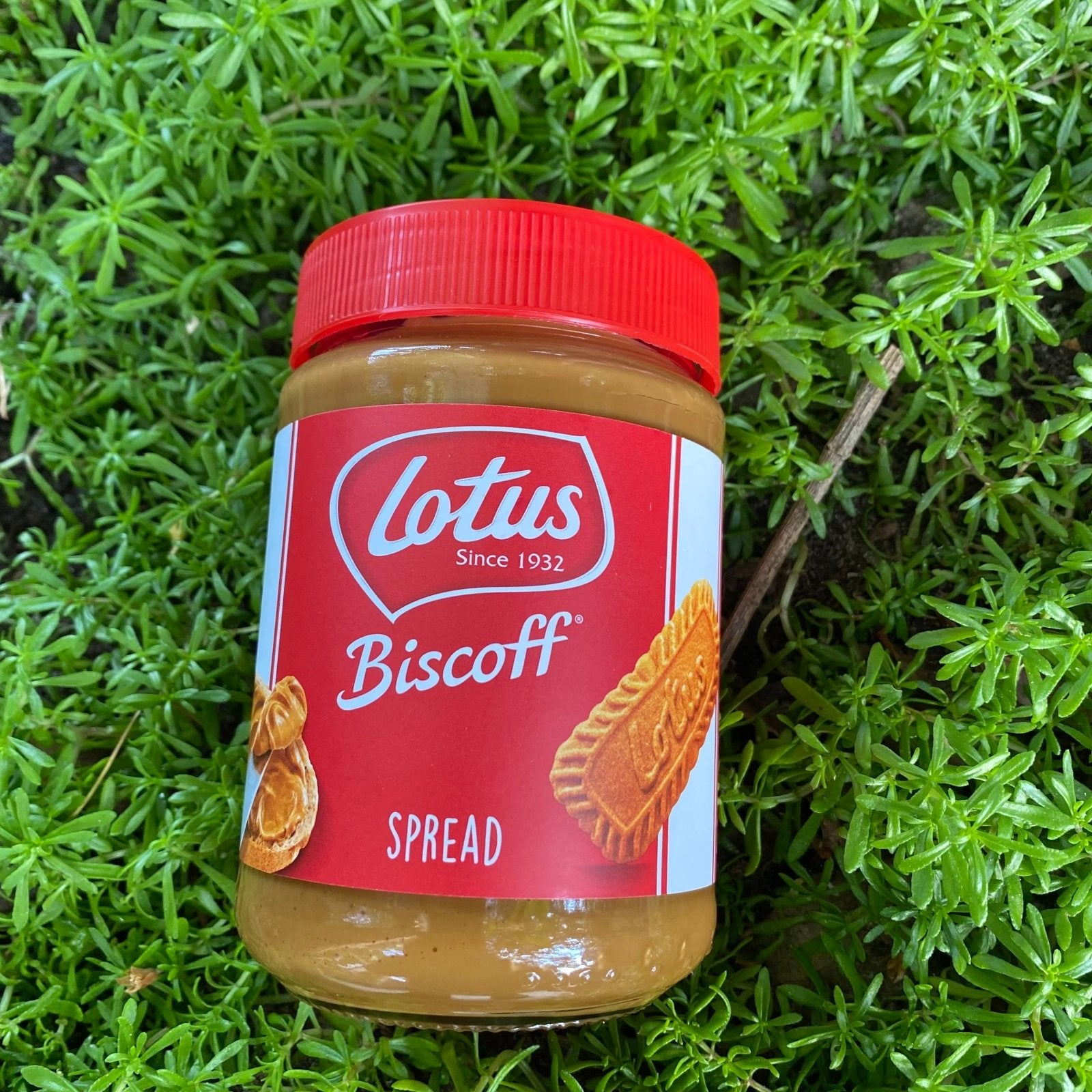 Lotus Speculoos Smooth (400g) - The Deli