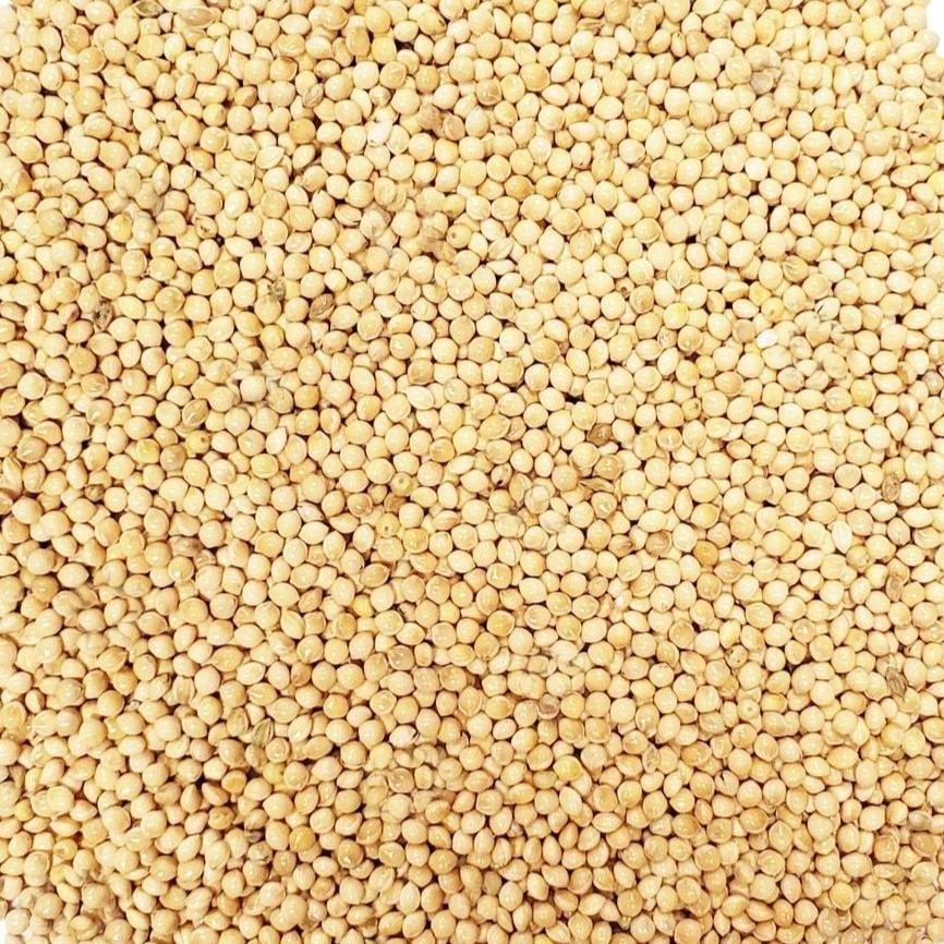 Millet (1kg) - The Deli