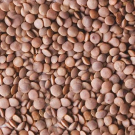 Brown Lentils (1kg) - The Deli