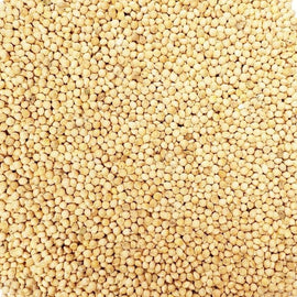 Millet (500g) - The Deli