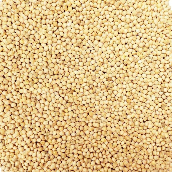 Millet (500g) - The Deli