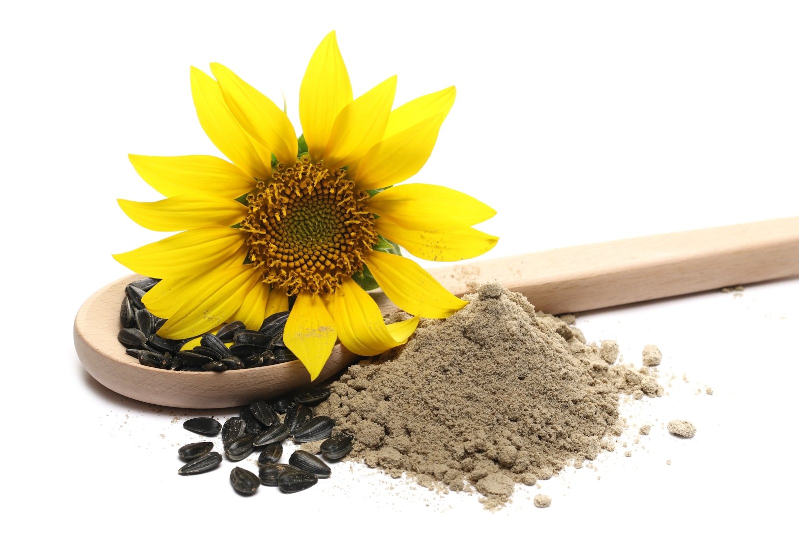 Sunflower Flour (1kg) - The Deli