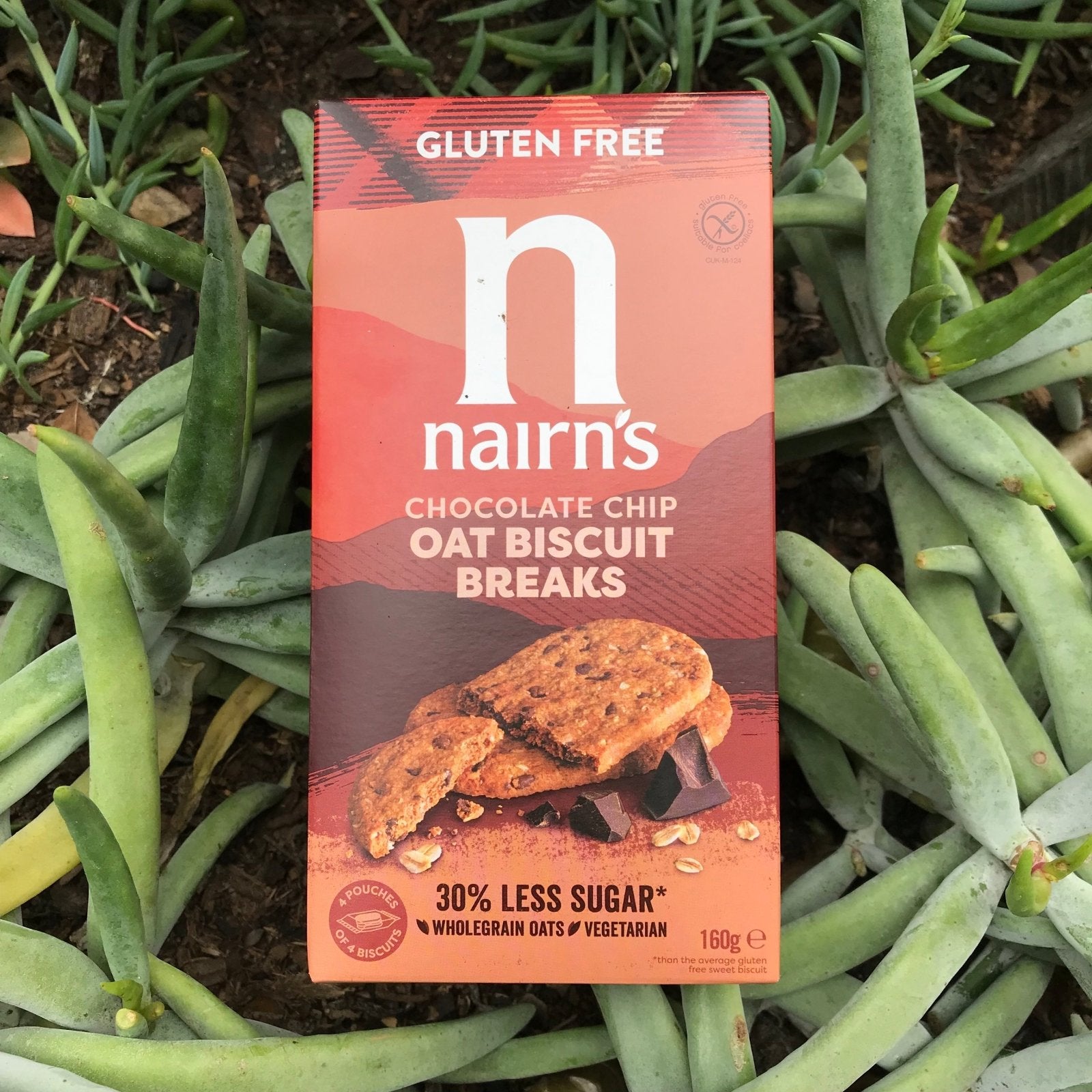 Nairn's Gluten Free Oats & Chocolate Chip Biscuit (160g) - The Deli