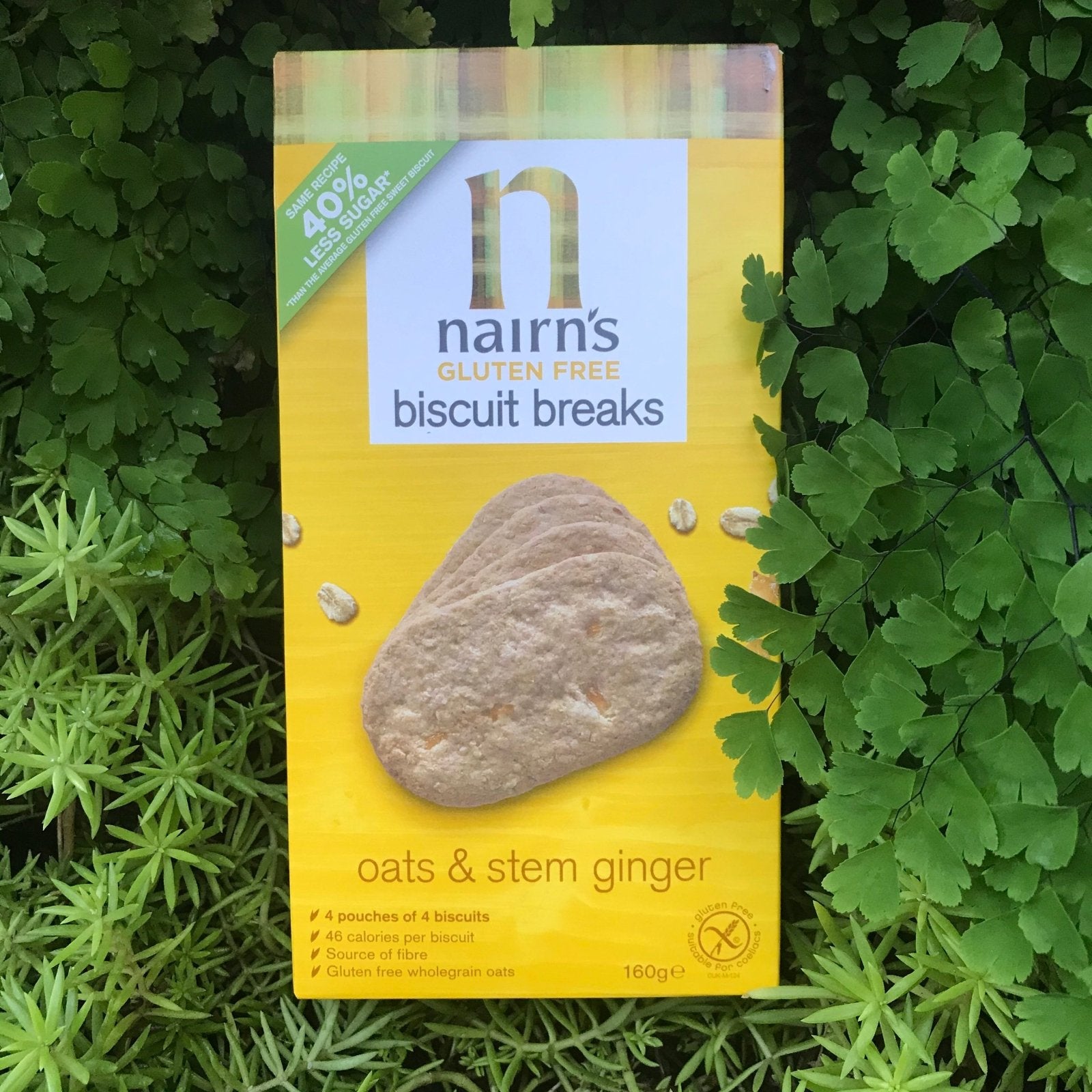 Nairn's Gluten Free Oats & Stem Ginger Biscuit (160g) - The Deli