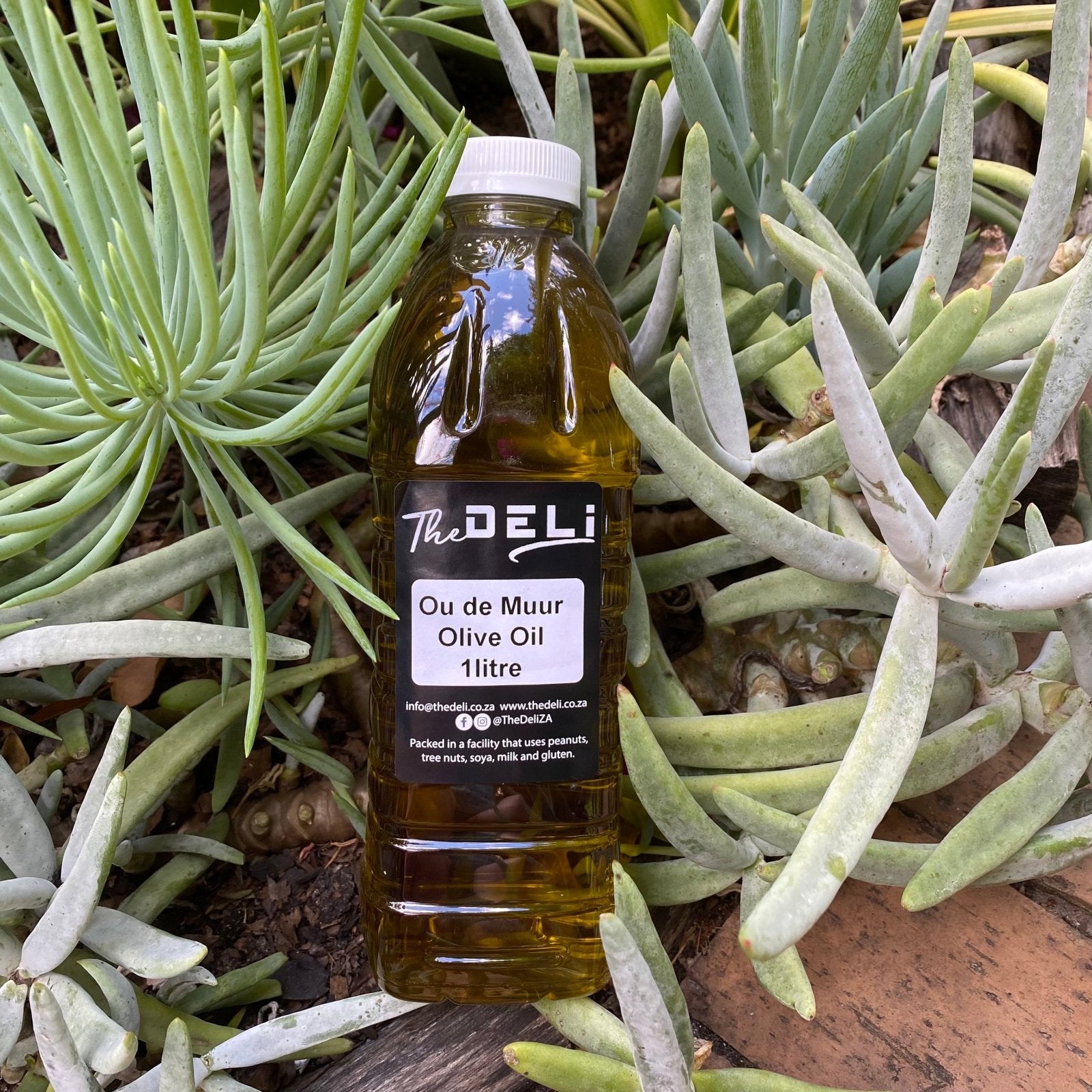 Oude Muur Extra Virgin Olive Oil (1l) - The Deli