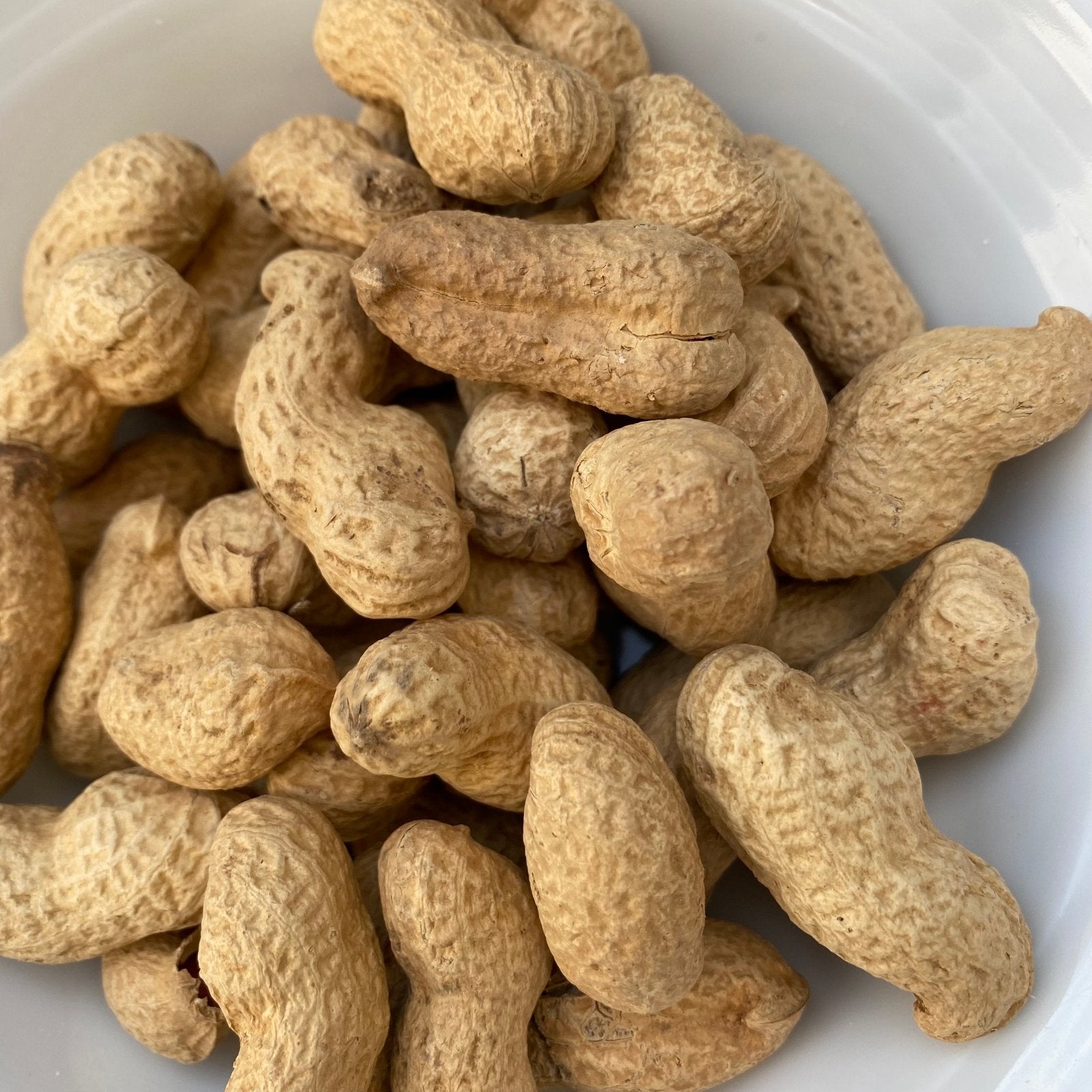 Peanuts In Shell Bulk (5kg) - The Deli