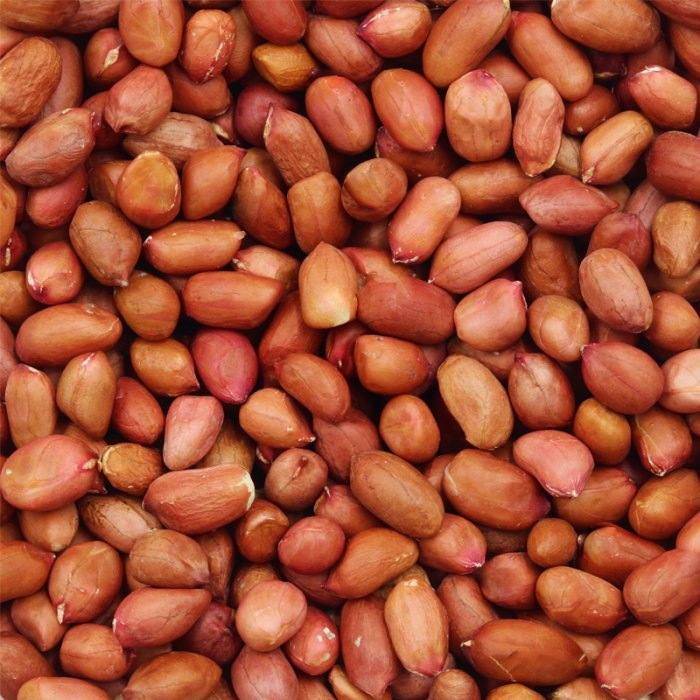Peanuts Redskin Raw Bulk (10kg) - The Deli