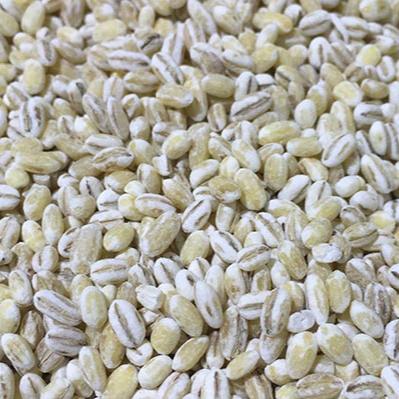 Pearled Barley (1kg) - The Deli