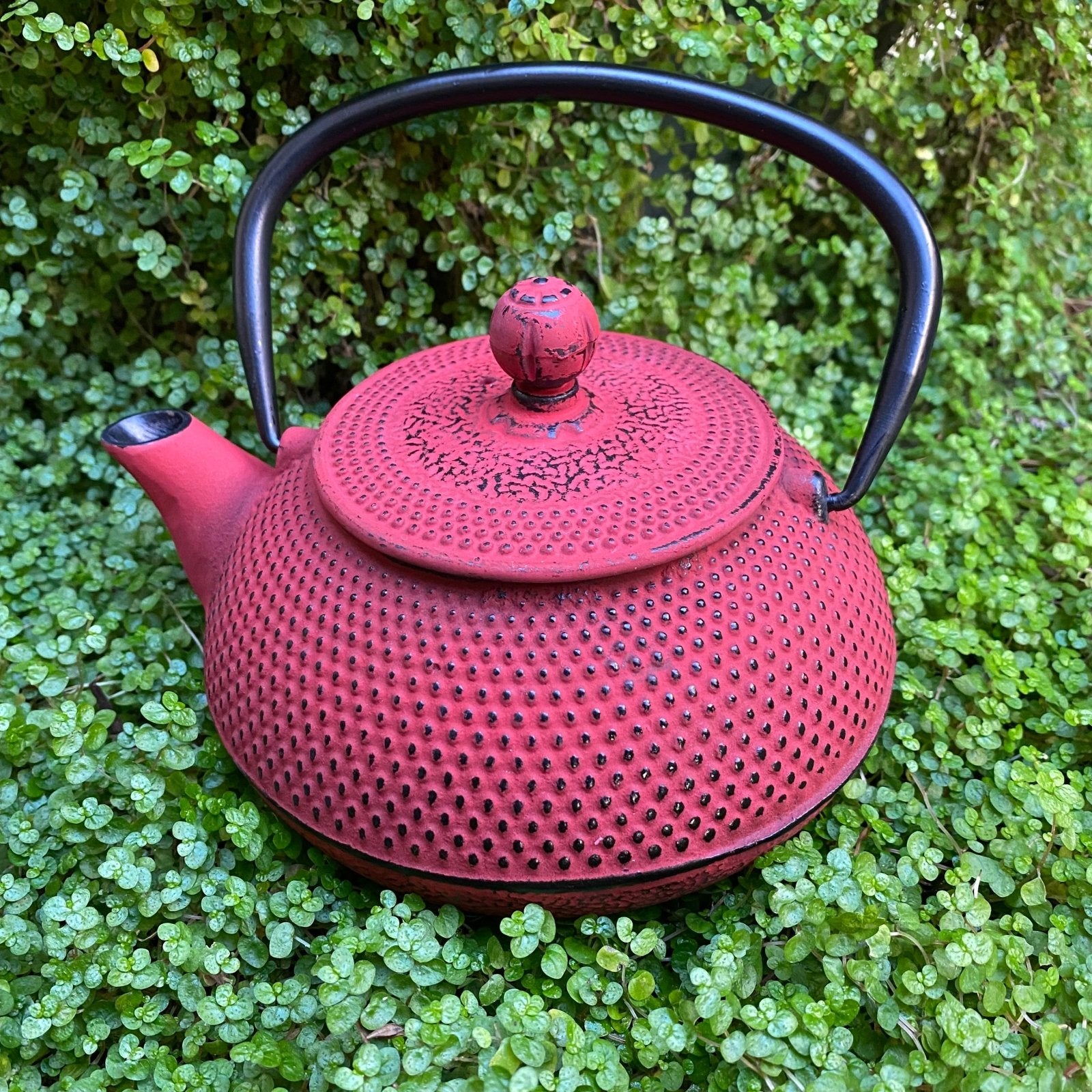 Red Cast Iron Tea Pot (800ml) - The Deli