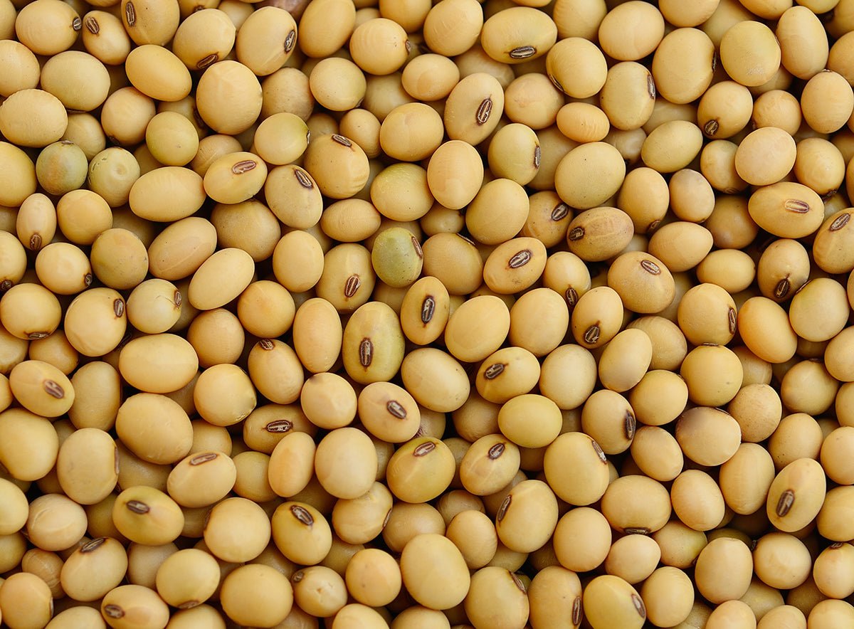 Soya Beans (1kg) - The Deli
