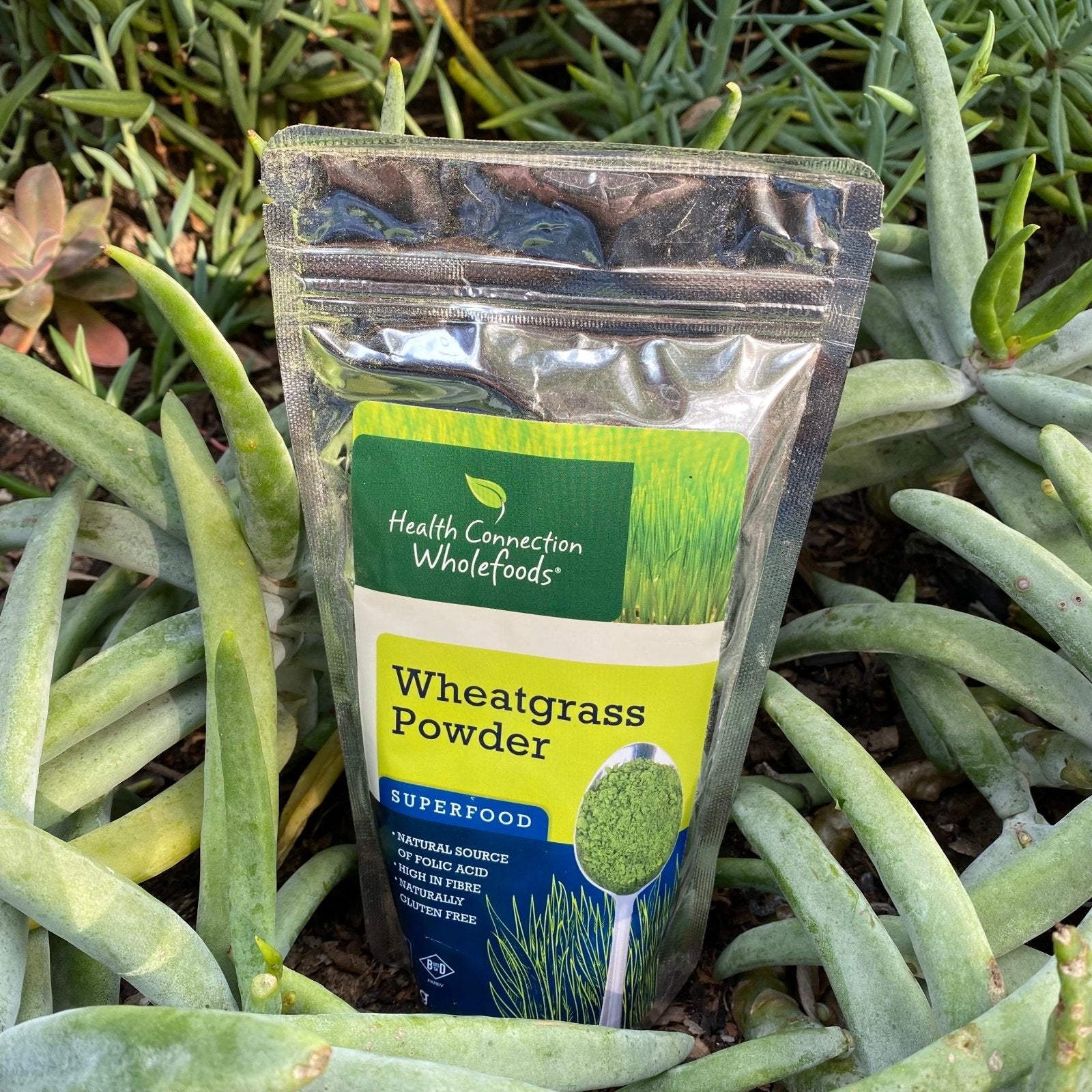 Wheatgrass Powder (150g) - The Deli